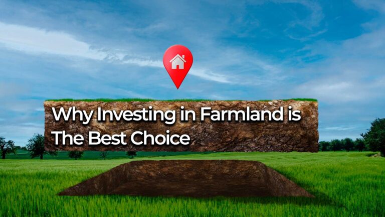Why Investing in Farmland is a Best Choice